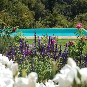 https://bb-podere-il-colto.it-tuscanyhotel.com